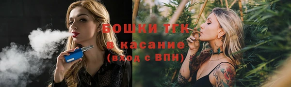 шишки Волоколамск