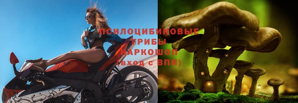 молекула духа Волосово