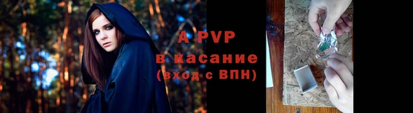 шишки Волоколамск