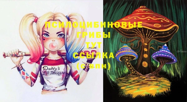шишки Волоколамск