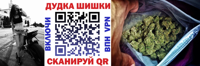 Бошки Шишки ГИДРОПОН  Ельня 